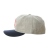 BIRMINGHAMBARONS