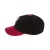 BIRMINGHAMBLACKBARONS