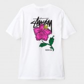 STUSSY-Cali Rose - White