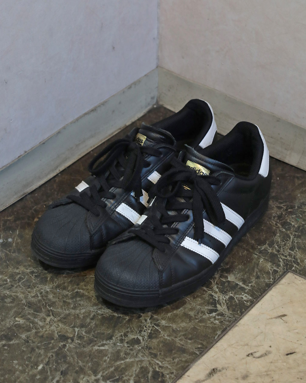 名品図鑑－Vol.6－ | COLLECT STORE BLOG
