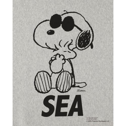 WIND AND SEA / ウィンダンシー | SMOOTHY x WDS Snoopy Pigment 