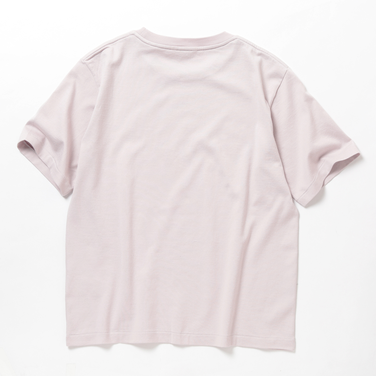 AURALEE / オーラリー | PIMA COTTON JERSEY TEE (レディース