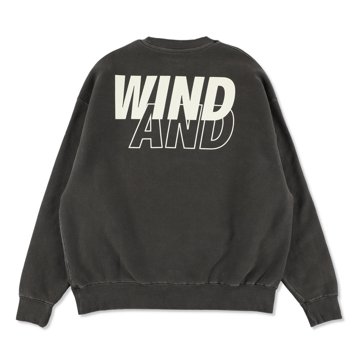 WIND AND SEA / ウィンダンシー | SMOOTHY x WDS Snoopy Pigment