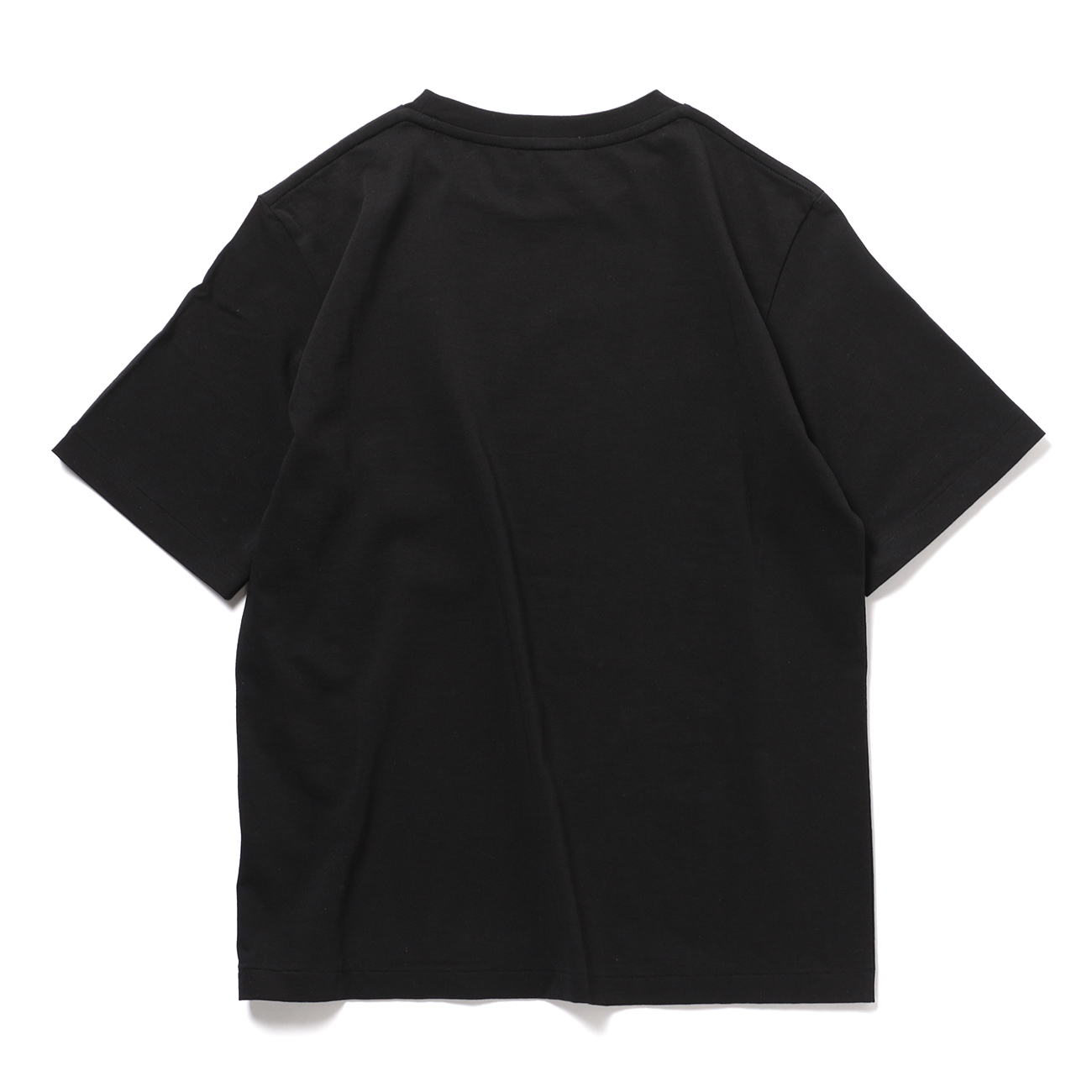 AURALEE / オーラリー | HIGH GAUGE COTTON JERSEY TEE (レディース