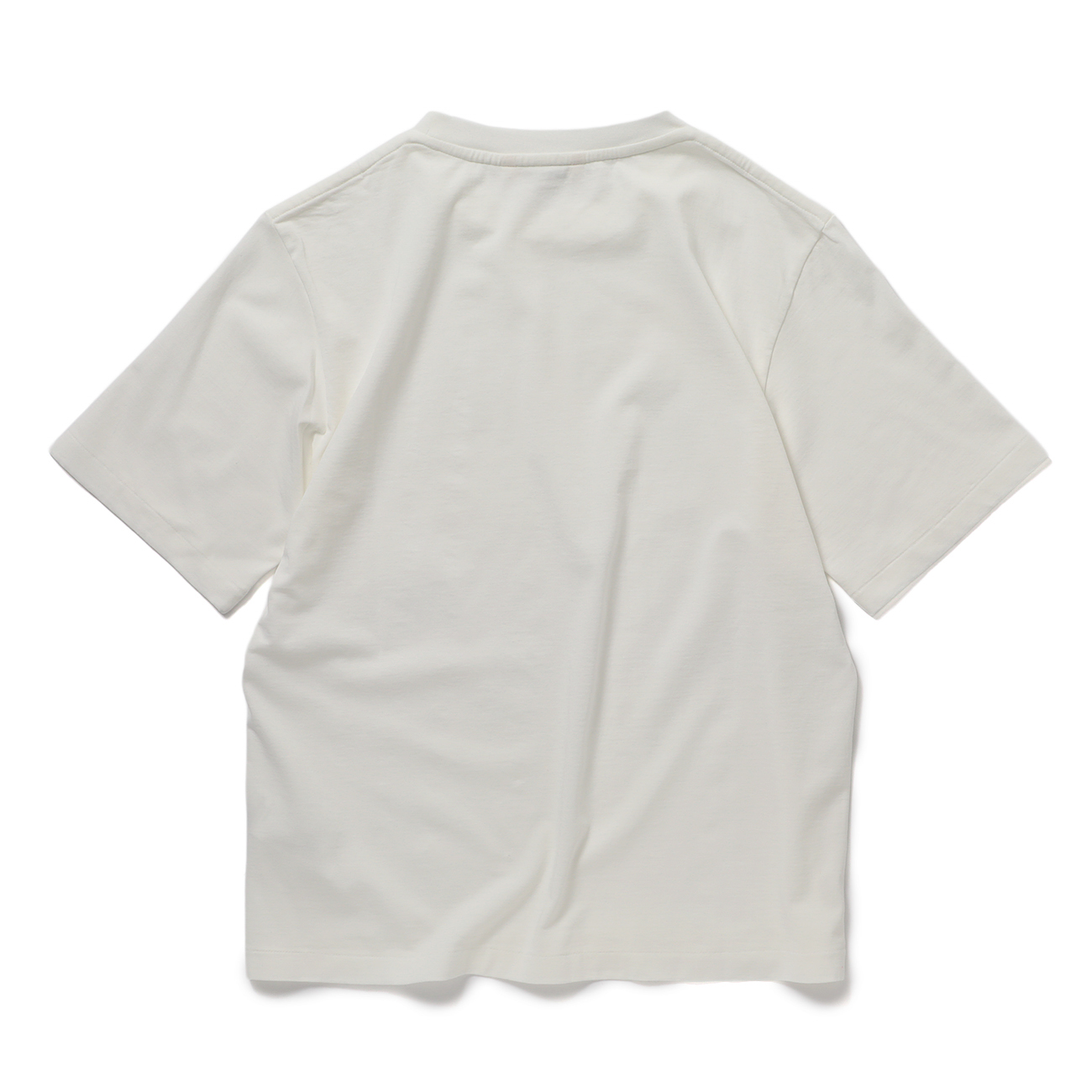 AURALEE / オーラリー | HIGH GAUGE COTTON JERSEY TEE (レディース