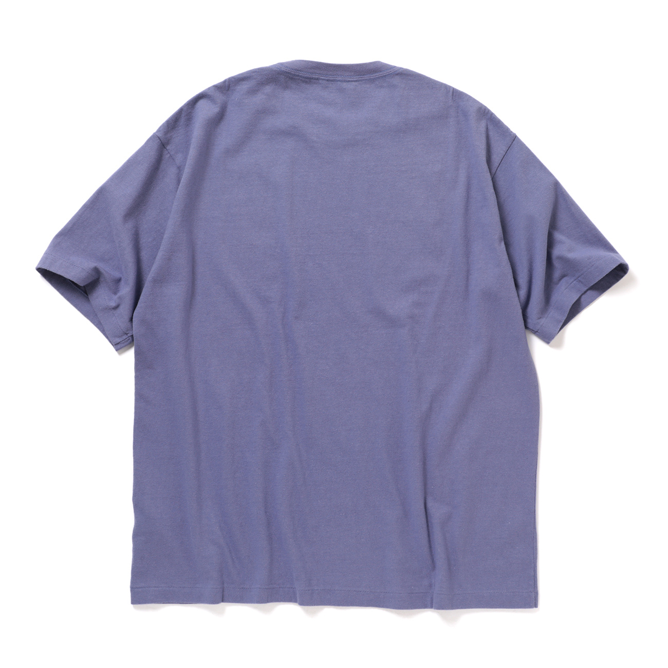 AURALEE / オーラリー | BRUSHED ORGANIC COTTON JERSEY TEE (メンズ