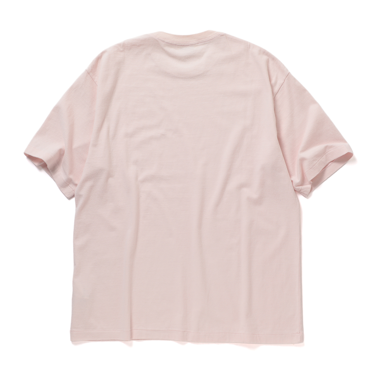 AURALEE / オーラリー | BRUSHED ORGANIC COTTON JERSEY TEE (メンズ 
