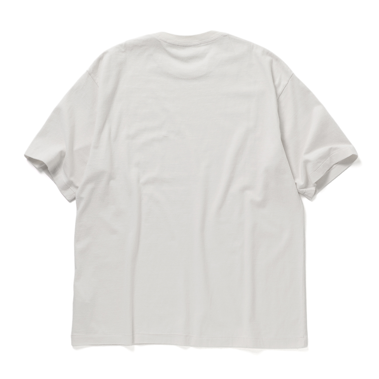AURALEE / オーラリー | BRUSHED ORGANIC COTTON JERSEY TEE (メンズ