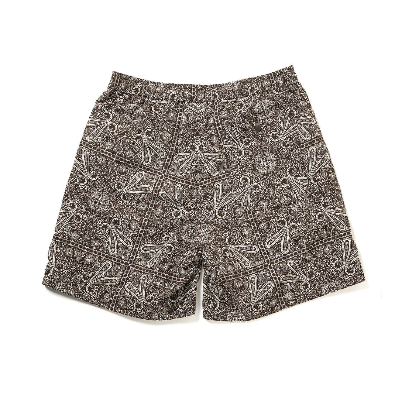 DAIWA PIER39 / ダイワピア39 | TECH MARINE SHORTS PAISLEY - Brown