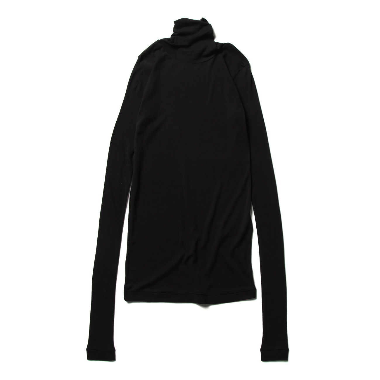 AURALEE / オーラリー | HIGH GAUGE SHEER RIB TURTLE NECK L/S TEE