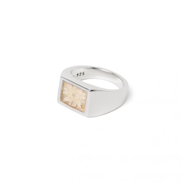 XOLO JEWELRY / ショロ ジュエリー | Signet Ring with Flower / White