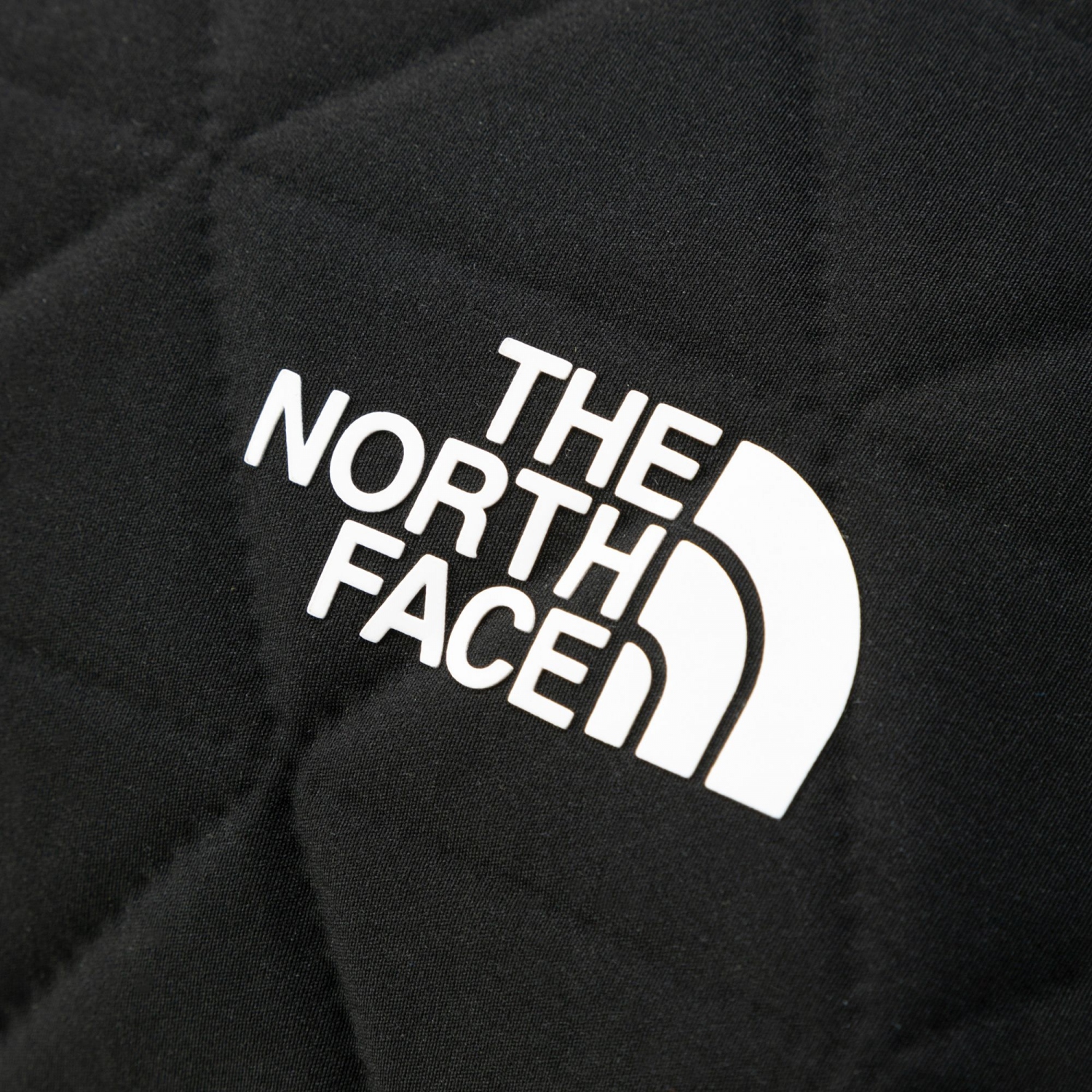 THE NORTH FACE / ザ ノース フェイス | Geoface Box Tote - FL