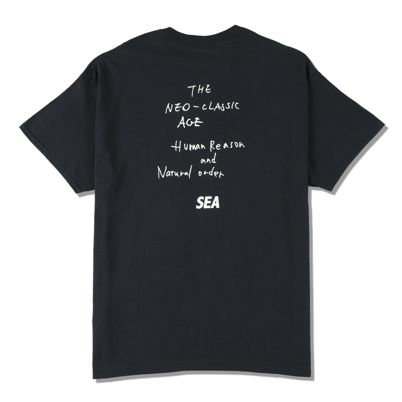 ウィンダンシーTシャツWIND AND SEA WDS STARS AND STRIPES TEE WIND AND SEA / ウィンダンシー | WDS (STARS AND STRIPES