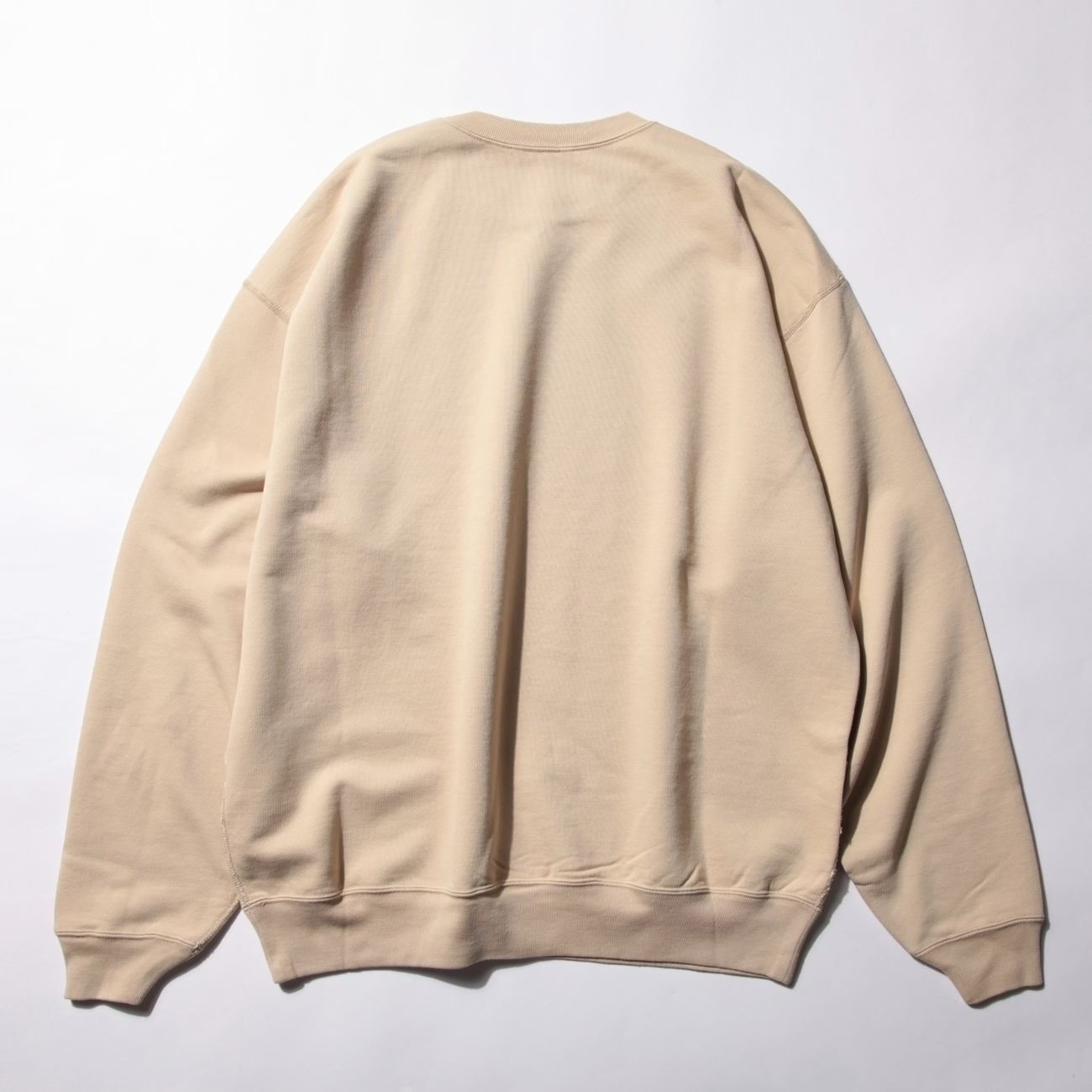 SUPER SOFT HEAVY SWEAT P/O (A8AP01GU) | DIVERSE / カットソー