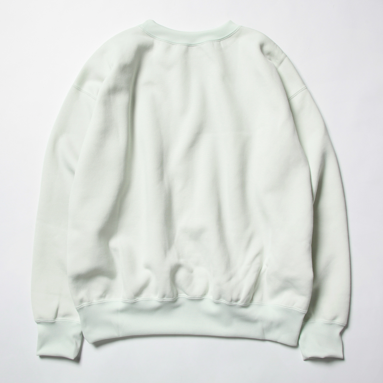 AURALEE / オーラリー | BAGGY POLYESTER SWEAT P/O (メンズ) - Mint