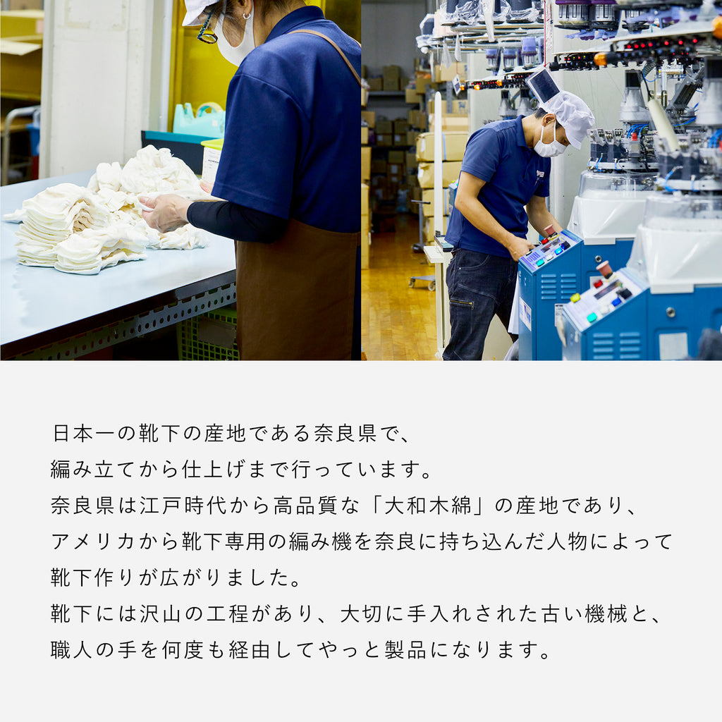 けんた　ライトグリーン　sサイズ　今週末発送 CHICSTOCKS / シックストックス | ライン - イエローグリーン×ライト