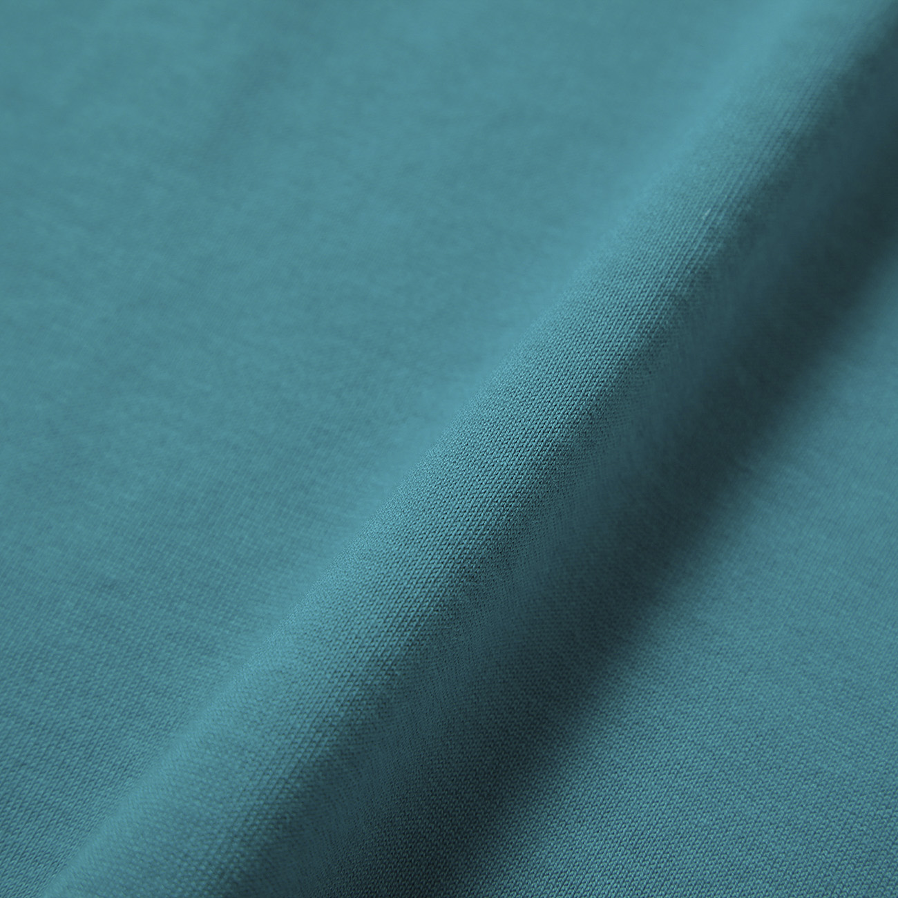 AURALEE / オーラリー | LUSTER PLAITING NARROW BOAT NECK TEE